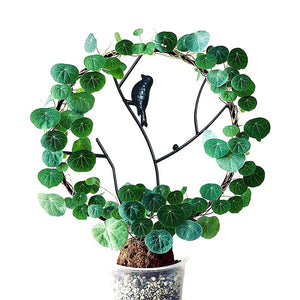 Climbing Pergola Portable Metal Round Climbing Frame Flower Pot Bracket Support Plant Stand Indoor Outdoor Garden Tool