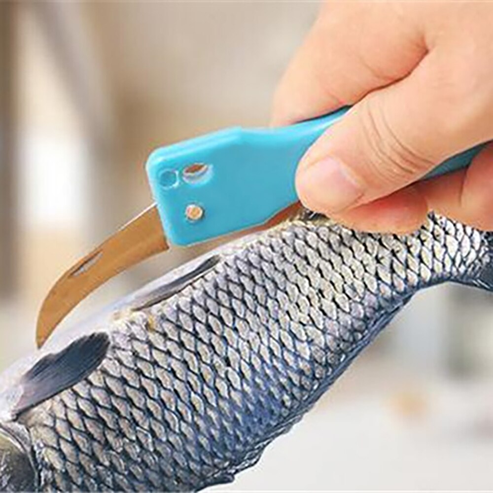 Fish Skin Brush Scraping Fishing Scale Brush Kitchen Accessories Fish Knife Cleaning Peeler Kitchen Gadgets Useful Scraper