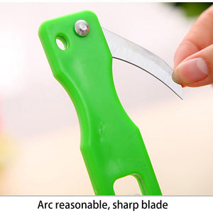 Fish Skin Brush Scraping Fishing Scale Brush Kitchen Accessories Fish Knife Cleaning Peeler Kitchen Gadgets Useful Scraper