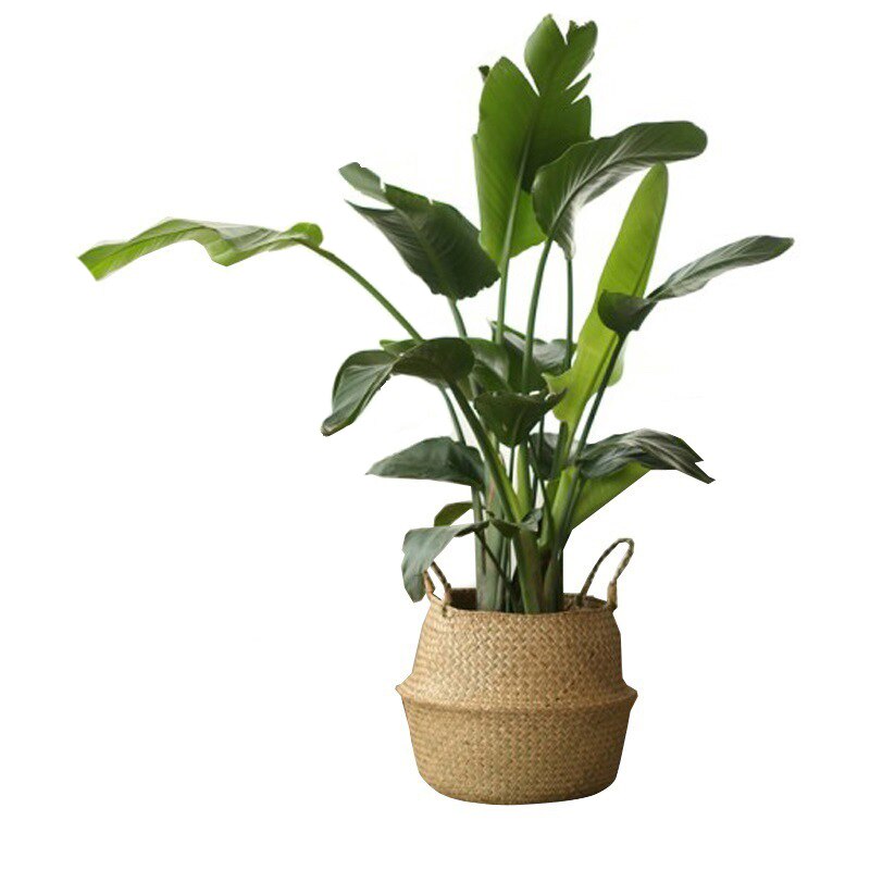Foldable Seaweed Weaving basket Flower Pot Seagrass wicker Basket Flower Plant Pot Natural Home Decor Garden Accessories