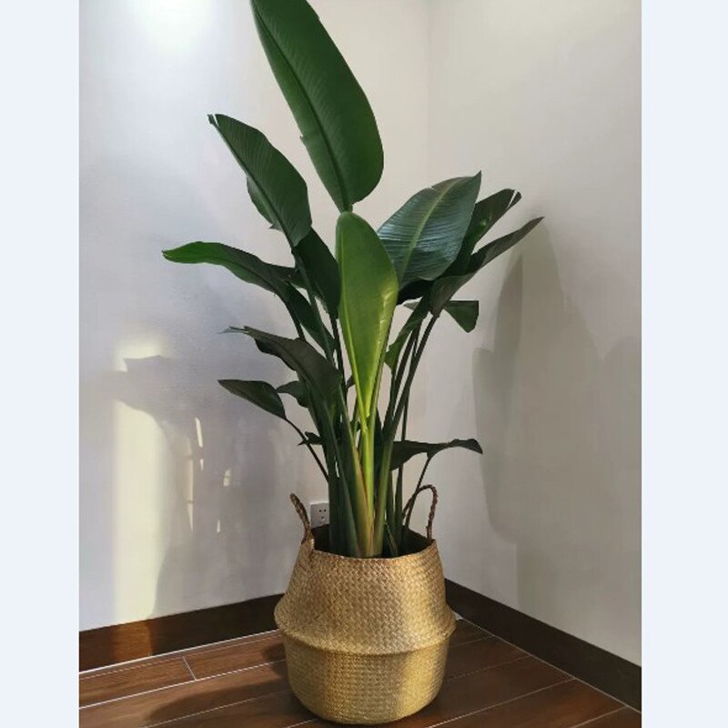 Foldable Seaweed Weaving basket Flower Pot Seagrass wicker Basket Flower Plant Pot Natural Home Decor Garden Accessories