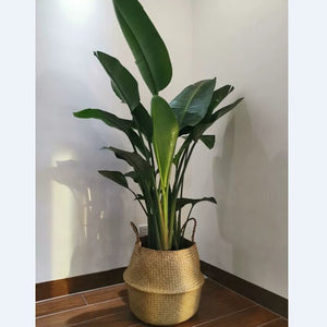 Foldable Seaweed Weaving basket Flower Pot Seagrass wicker Basket Flower Plant Pot Natural Home Decor Garden Accessories