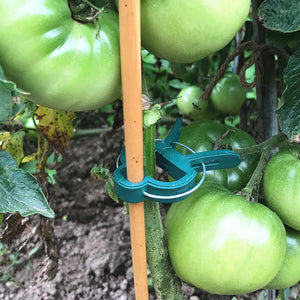 Garden Plant Clip 40pcs Reusable Greenhouse Gardening Supporting Plant Clip For Flower Bed Vine Vegetable Tomato Stalk