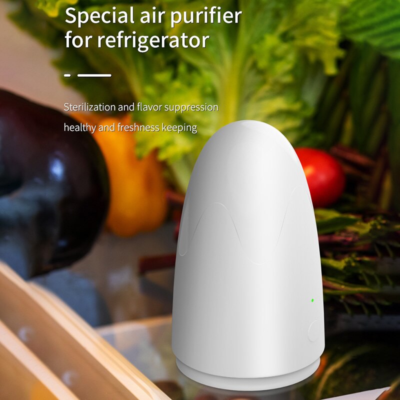 Lonizer Deodorizer Fridge ozone generator filter air purifier oxygen Refrigerator Air Purifier pro fridge fresh Air Purifier