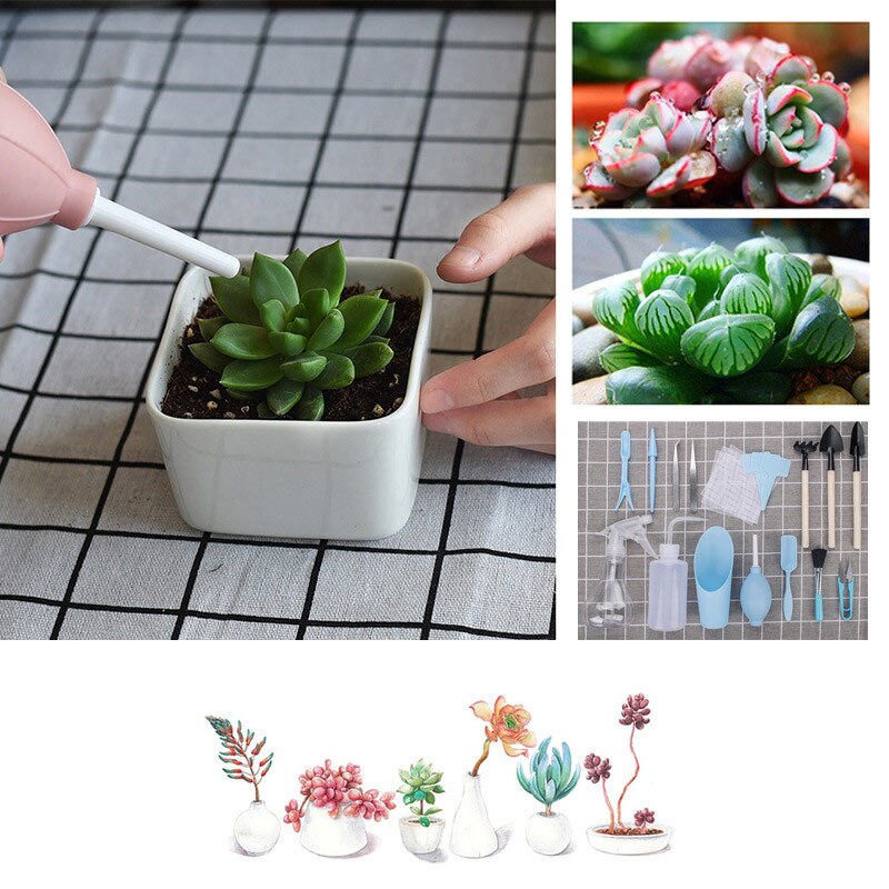Succulent Planting Tools Mini Garden Hand Tool Shovel Spade Rake Tweezers Kettle Succulent Plants Planting Bonsai Tools